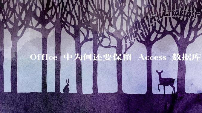 Office 中为何还要保留 Access 数据库?